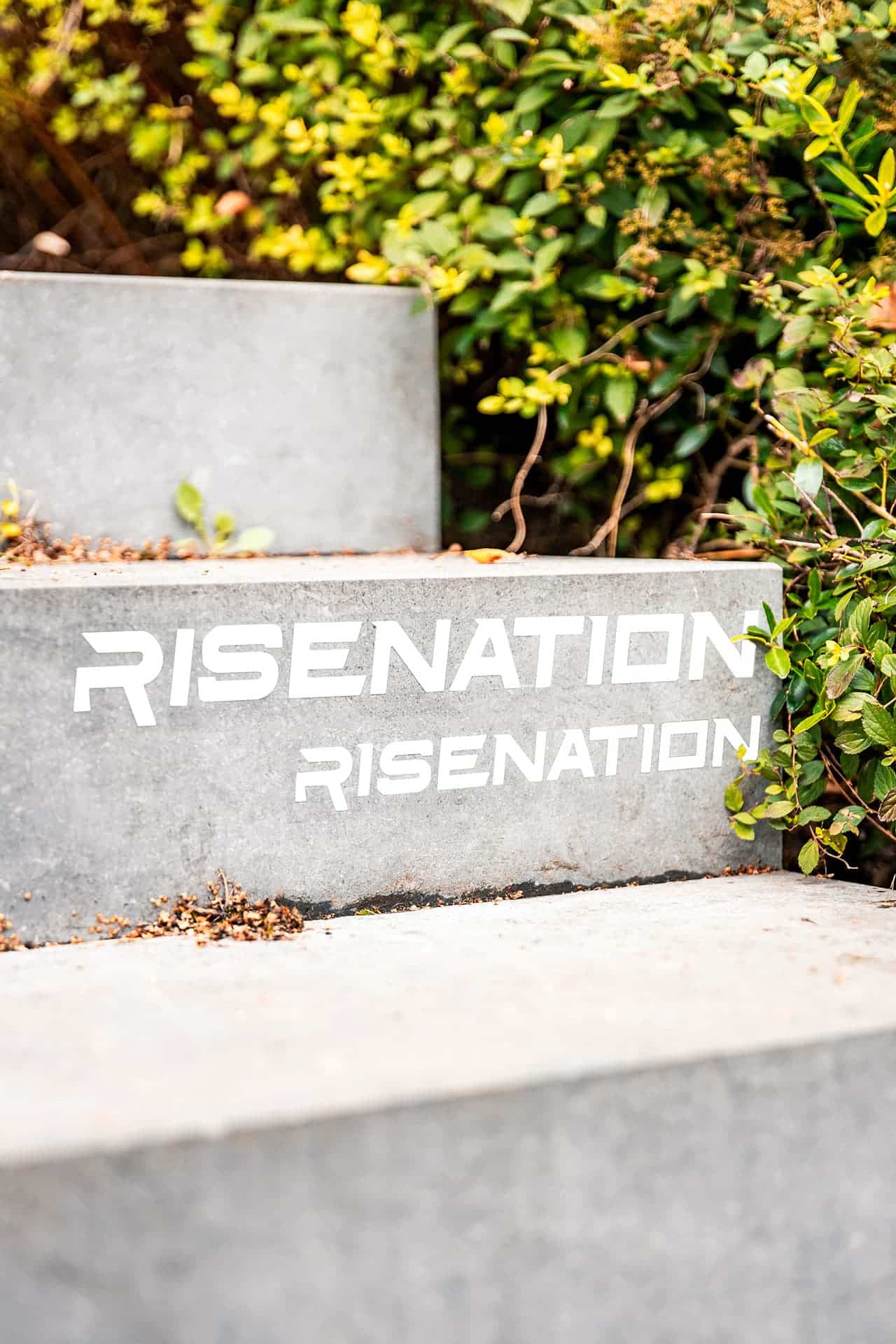 risenation-merch